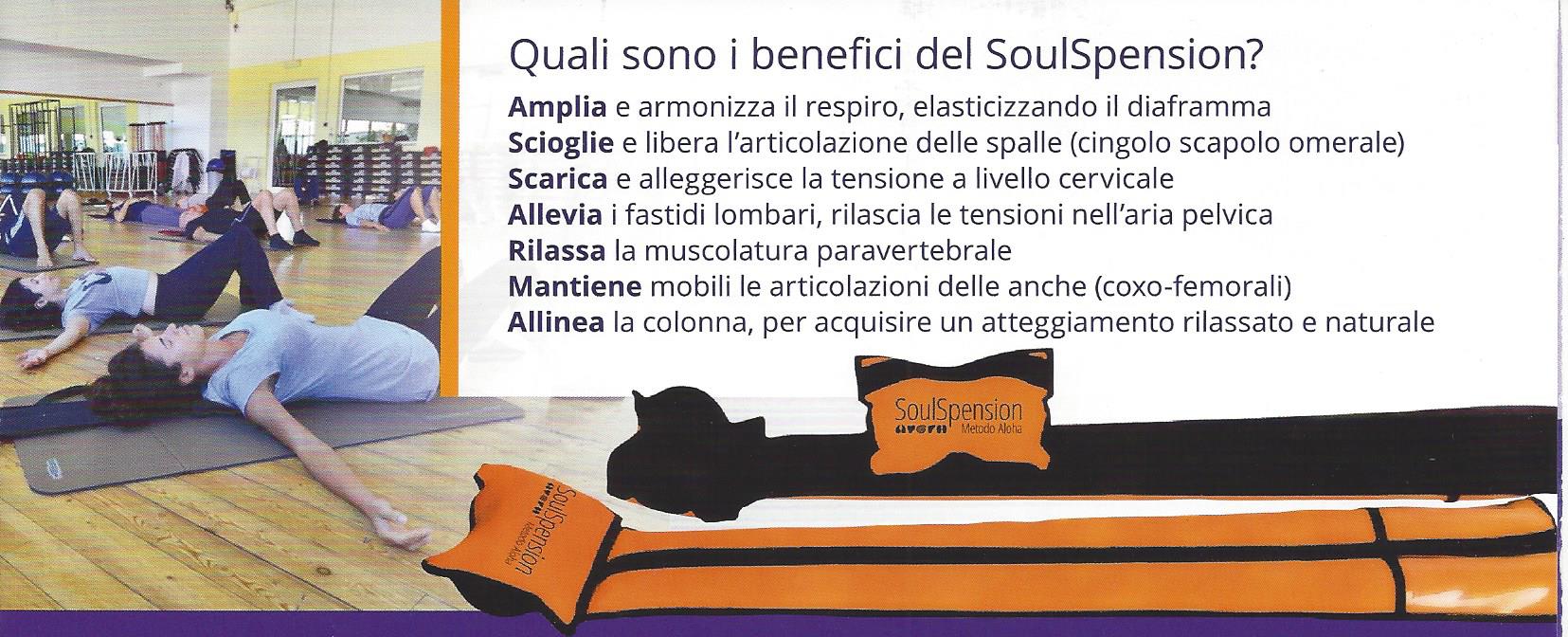 SoulSpension06